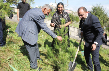 Daşkəsəndə 27 Sentyabr – Anım Gününə həsr olunan ağacəkmə aksiyası keçirilib