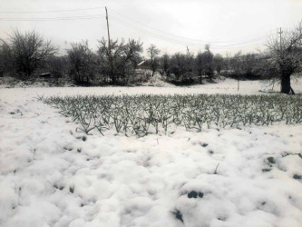 Daşkəsən Rayon Fövqəladə Hallar Komissiyası ölkə ərazisində davam edən qeyri-sabit hava şəraiti ilə əlaqədar görüş keçirib