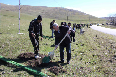 Daşkəsən rayonunda “Şəhərsalma və Memarlıq İli”nə həsr olunan ağacəkmə aksiyası keçirilib