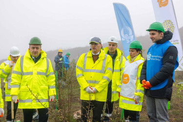 Daşkəsən rayonunda silsilə ağacəkmə aksiyaları keçirilib