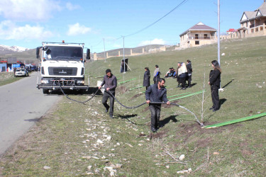 Daşkəsən rayonunda “Şəhərsalma və Memarlıq İli”nə həsr olunan ağacəkmə aksiyası keçirilib
