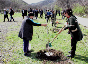 Daşkəsən rayonunda “Şəhərsalma və Memarlıq İli”nə həsr olunan növbəti ağacəkmə aksiyaları keçirilib
