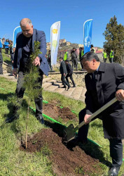 Daşkəsən rayonunda silsilə ağacəkmə aksiyaları keçirilib