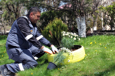 Daşkəsən şəhərində ekoloji təşəbbüs çərçivəsində dekorativ dibçəklər quraşdırılıb
