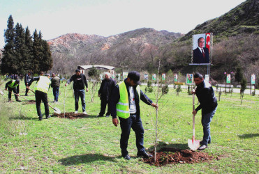 Daşkəsən rayonunda “Şəhərsalma və Memarlıq İli”nə həsr olunan növbəti ağacəkmə aksiyaları keçirilib