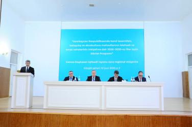 Daşkəsən rayonundan olan nümayəndələr Göygöldə aqrar sahədə yeni Dövlət Proqramının müzakirəsi ilə bağlı keçirilən regional müşavirədə iştirak ediblər