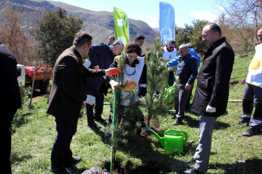 Daşkəsən rayonunda silsilə ağacəkmə aksiyaları keçirilib