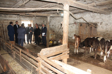 Daşkəsən Rayon İcra Hakimiyyətində “Azərbaycan Respublikasında kənd təsərrüfatı, balıqçılıq və akvakultura məhsullarının istehsalı və emalı sahələrinin inkişafına dair 2026–2030-cu illər üçün Dövlət Proqramı”nın icrasının təmin edilməsi məqsədilə yaradılmış rayon Qərargahının növbəti iclası olub və təsərrüfatlara yerində baxış keçirilib