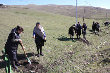 Daşkəsən rayonunda “Şəhərsalma və Memarlıq İli”nə həsr olunan ağacəkmə aksiyası keçirilib