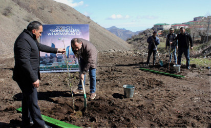 Daşkəsən rayonunda “Şəhərsalma və Memarlıq İli”nə həsr olunan növbəti ağacəkmə aksiyaları keçirilib