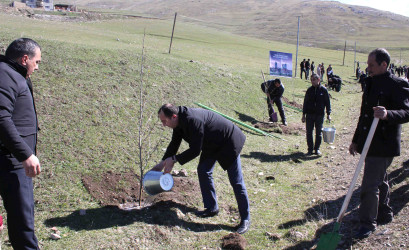Daşkəsən rayonunda “Şəhərsalma və Memarlıq İli”nə həsr olunan ağacəkmə aksiyası keçirilib