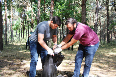 Daşkəsəndə növbəti ekoloji aksiya təşkil edilib