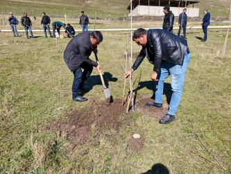 Daşkəsən rayonunda “Şəhərsalma və Memarlıq İli”nə həsr olunan ağacəkmə aksiyası keçirilib