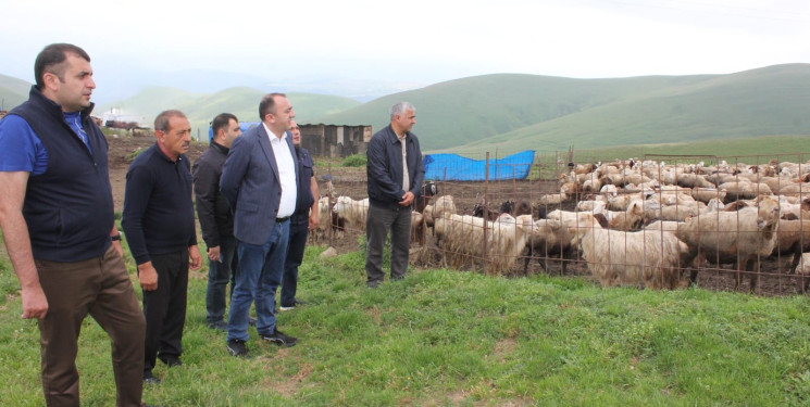 Daşkəsən Rayon İcra Hakimiyyətinin başçısı Orxan Abbasov heyvandarlıq təsərrüfatına baxış keçirib.