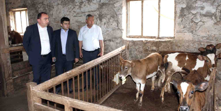 Daşkəsən Rayon İcra Hakimiyyətinin başçısı Orxan Abbasov növbəti heyvandarlıq təsərrüfatına baxış keçirib