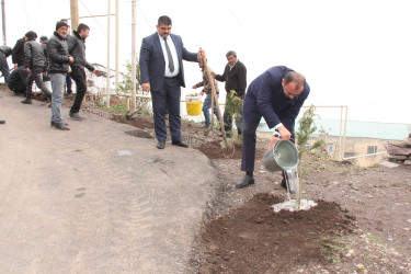 Daşkəsən rayonunda “Konstitusiya və Suverenlik İli”nə həsr olunan növbəti ağacəkmə aksiyaları keçirilib