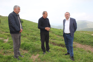 Daşkəsən Rayon İcra Hakimiyyətinin başçısı Orxan Abbasov heyvandarlıq təsərrüfatına baxış keçirib.
