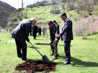 Daşkəsən rayonunda “Şəhərsalma və Memarlıq İli”nə həsr olunan növbəti ağacəkmə aksiyaları keçirilib