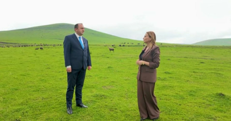 Daşkəsən Rayon İcra Hakimiyyətinin başçısı Orxan Abbasov ARB Televiziyasına geniş müsahibə verib