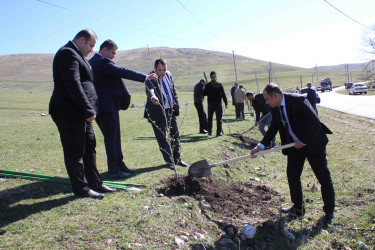 Daşkəsən rayonunda “Şəhərsalma və Memarlıq İli”nə həsr olunan ağacəkmə aksiyası keçirilib