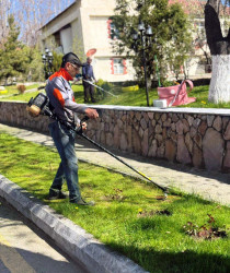 Daşkəsən şəhərinin prospekt və küçələrində təmizlik işləri aparılıb, yaşıllıqlara qulluq göstərilib