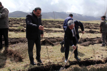 Daşkəsən rayonunda “Konstitusiya və Suverenlik İli”nə həsr olunan növbəti ağacəkmə aksiyaları keçirilib