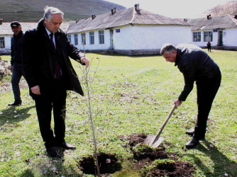 Daşkəsən rayonunda “Şəhərsalma və Memarlıq İli”nə həsr olunan növbəti ağacəkmə aksiyaları keçirilib