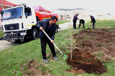 Daşkəsən rayonunda “Şəhərsalma və Memarlıq İli”nə həsr olunan növbəti ağacəkmə aksiyaları keçirilib