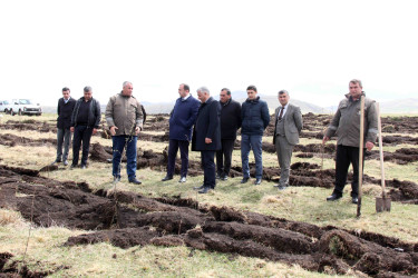 Daşkəsən rayonunda “Konstitusiya və Suverenlik İli”nə həsr olunan növbəti ağacəkmə aksiyaları keçirilib