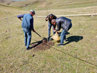 03.04.2026-Xoşbulaq və Yuxarı Daşkəsəndə ağacəkmə aksiyası