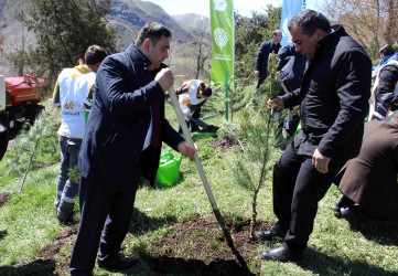 23.04.2026-Daşkəsən rayonunda ağacəkmə aksiyaları