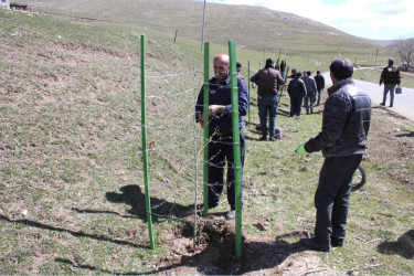 03.04.2026-Xoşbulaq və Yuxarı Daşkəsəndə ağacəkmə aksiyası