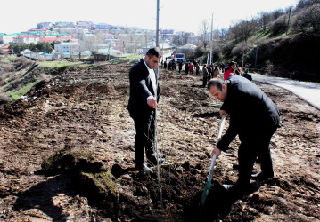08.04.2026- Rayon kəndlərində ağacəkmə aksiyaları