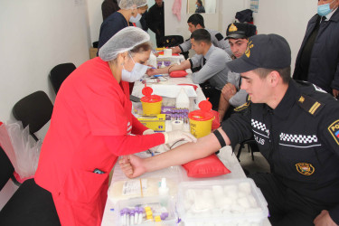 15.01.2026-“Talassemiyasız həyat naminə”- aksiya
