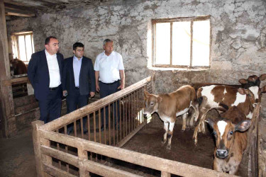 03.09.2026-Heyvandarlıq təsərrüfatına baxış