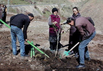 08.04.2026- Rayon kəndlərində ağacəkmə aksiyaları