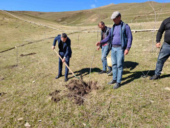 03.04.2026-Xoşbulaq və Yuxarı Daşkəsəndə ağacəkmə aksiyası