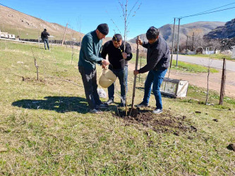 03.04.2026-Xoşbulaq və Yuxarı Daşkəsəndə ağacəkmə aksiyası