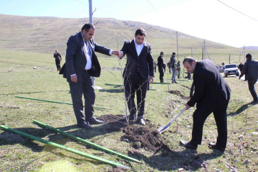 03.04.2026-Xoşbulaq və Yuxarı Daşkəsəndə ağacəkmə aksiyası