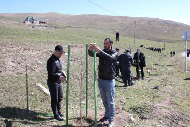 03.04.2026-Xoşbulaq və Yuxarı Daşkəsəndə ağacəkmə aksiyası