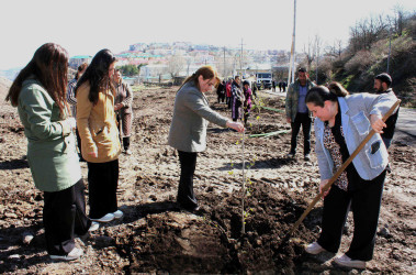 08.04.2026- Rayon kəndlərində ağacəkmə aksiyaları