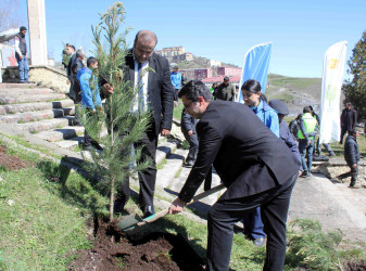 23.04.2026-Daşkəsən rayonunda ağacəkmə aksiyaları