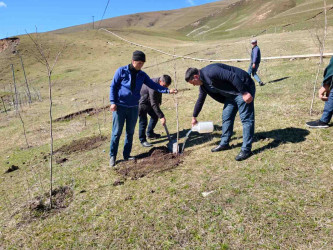 03.04.2026-Xoşbulaq və Yuxarı Daşkəsəndə ağacəkmə aksiyası