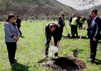 08.04.2026- Rayon kəndlərində ağacəkmə aksiyaları