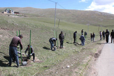 03.04.2026-Xoşbulaq və Yuxarı Daşkəsəndə ağacəkmə aksiyası