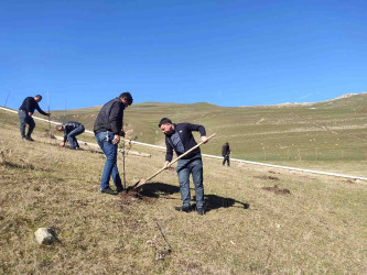 03.04.2026-Xoşbulaq və Yuxarı Daşkəsəndə ağacəkmə aksiyası