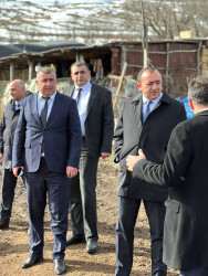 03.02.2026 - Alunitdağ - qəbul