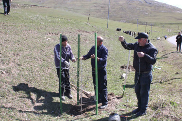 03.04.2026-Xoşbulaq və Yuxarı Daşkəsəndə ağacəkmə aksiyası
