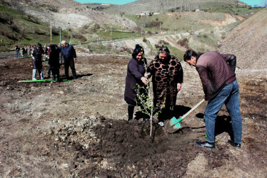 08.04.2026- Rayon kəndlərində ağacəkmə aksiyaları