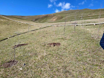 03.04.2026-Xoşbulaq və Yuxarı Daşkəsəndə ağacəkmə aksiyası